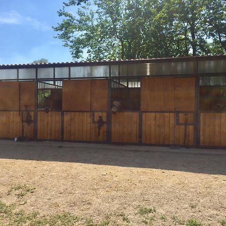 Agriturismo Helianthus Oleggio Zewnętrze zdjęcie