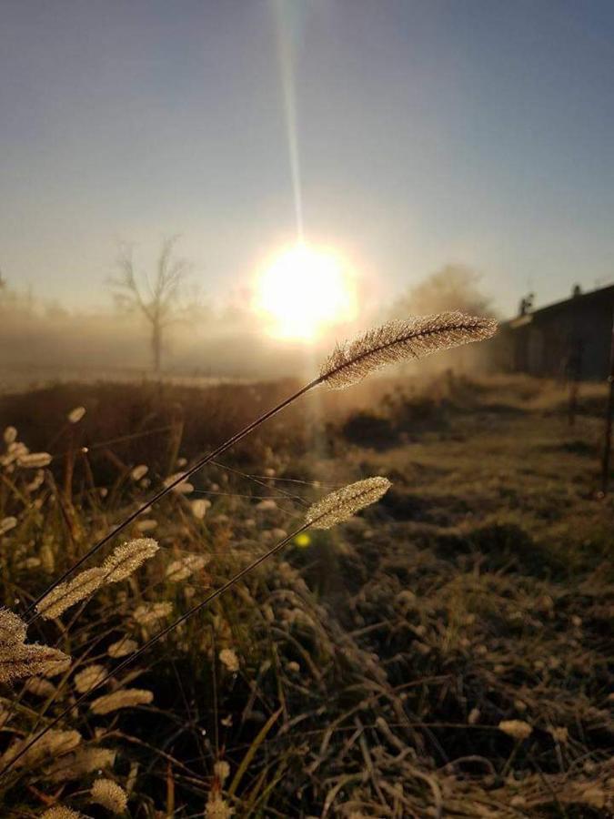 Agriturismo Helianthus Oleggio Zewnętrze zdjęcie