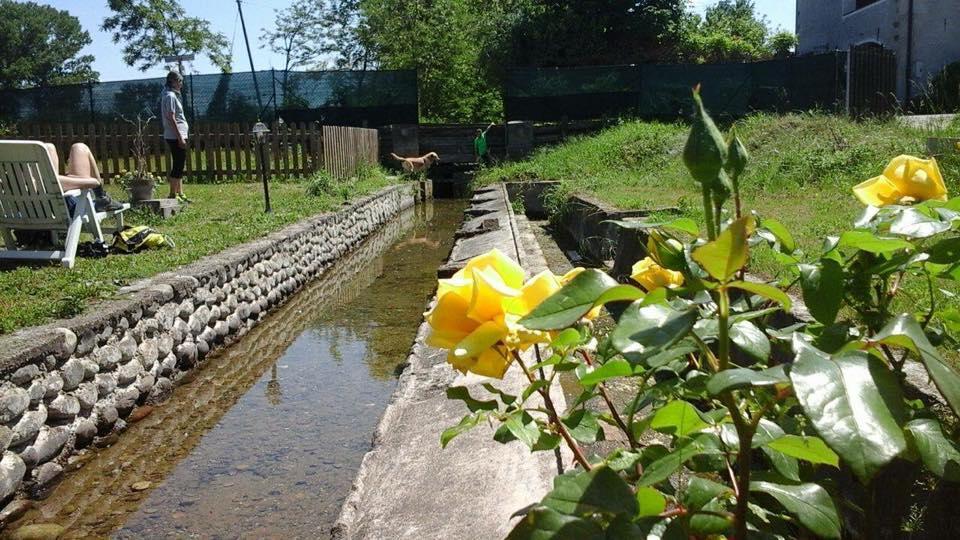 Agriturismo Helianthus Oleggio Zewnętrze zdjęcie