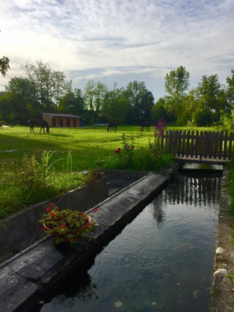 Agriturismo Helianthus Oleggio Zewnętrze zdjęcie