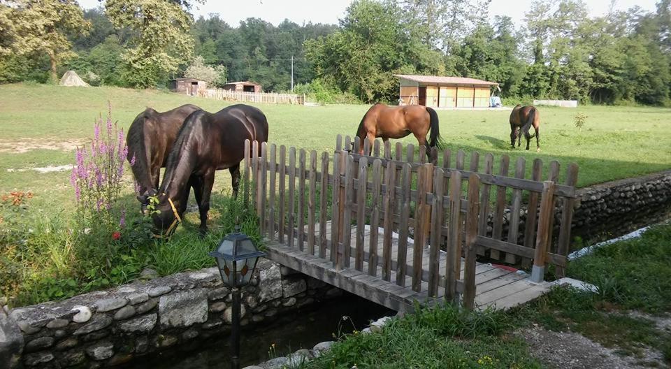 Agriturismo Helianthus Oleggio Zewnętrze zdjęcie